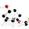 Molecular Model Kit 125-Piece Hidden Valley, Color‑Coded, Carrying-5