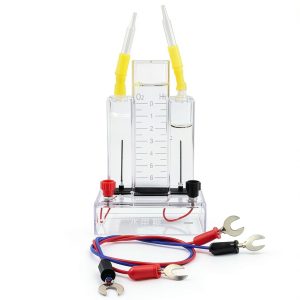 Water Electrolyzer HLLZXYGK Gas Generator with Alloy Electrodes –-0